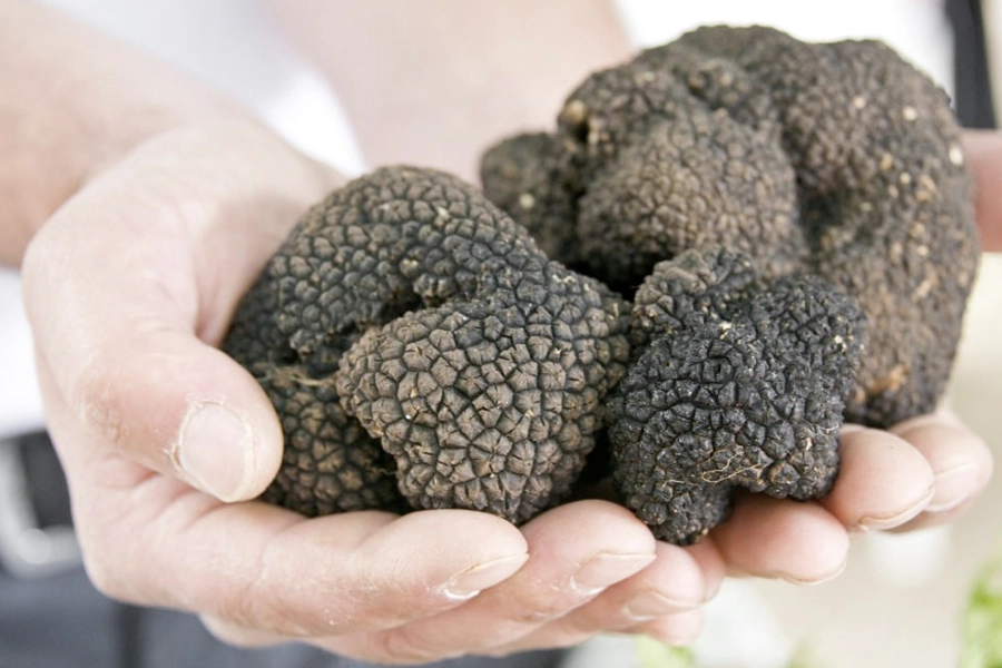 What is truffle?