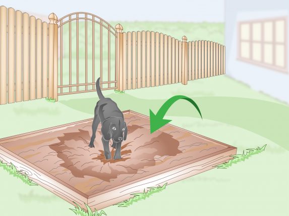 How to stop a dog digging