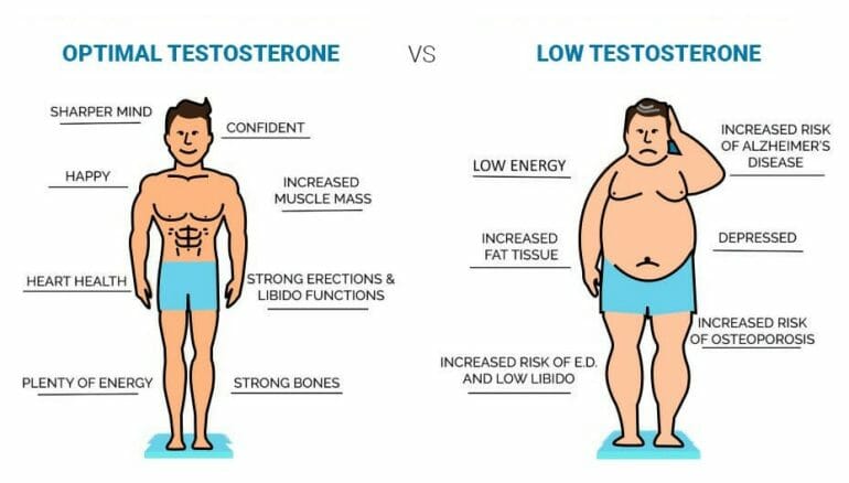 How to increase testosterone?
