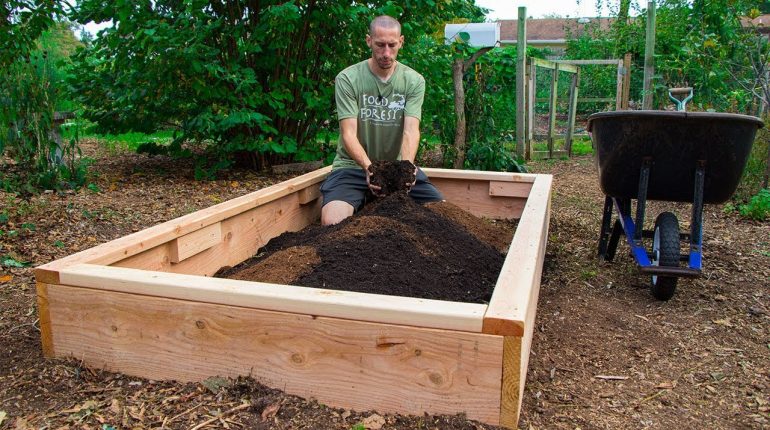 How to build a raised garden bed?